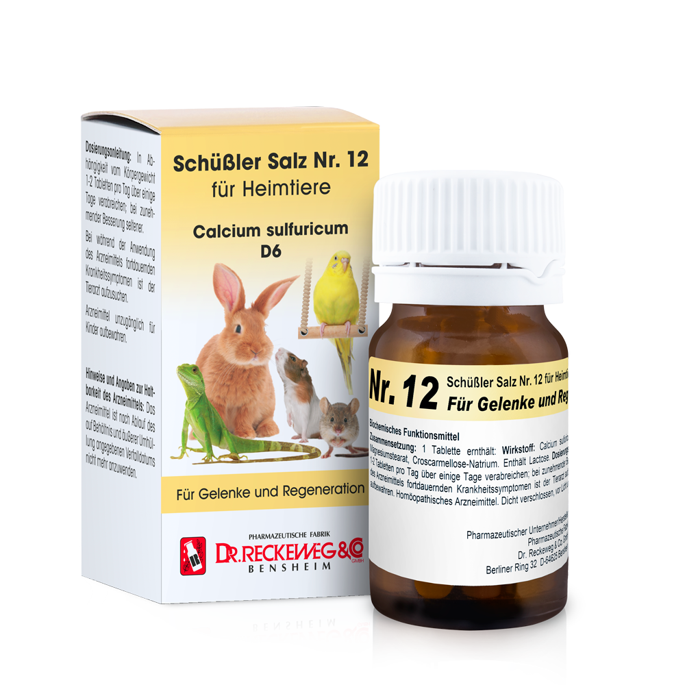 Schüßler Salz Nr. 12 für Heimtiere Calcium sulfuricum D6