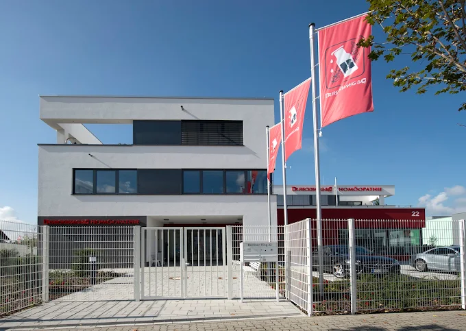 Bild Werk 2 Dr. Reckeweg Bild Werk 2 Dr. Reckeweg